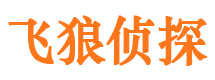 河源外遇调查取证